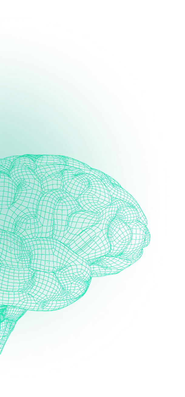 brain